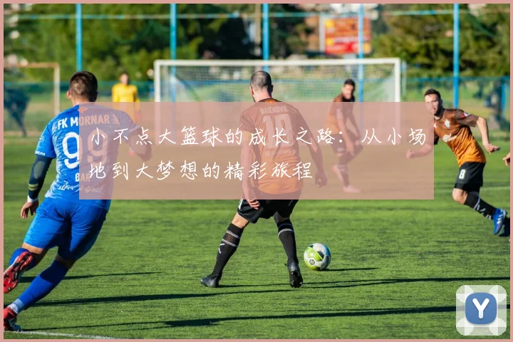 小不点大篮球的成长之路：从小场地到大梦想的精彩旅程