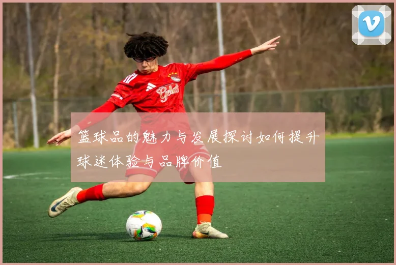 篮球品的魅力与发展探讨如何提升球迷体验与品牌价值