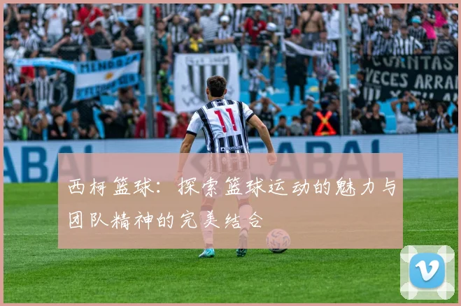 西柯篮球：探索篮球运动的魅力与团队精神的完美结合