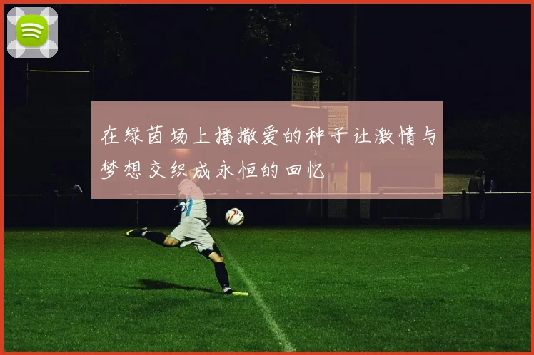 在绿茵场上播撒爱的种子让激情与梦想交织成永恒的回忆