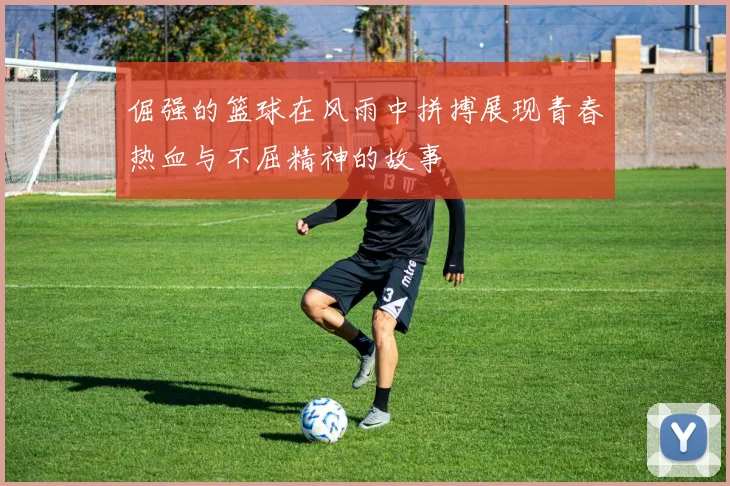 倔强的篮球在风雨中拼搏展现青春热血与不屈精神的故事