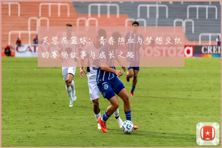 芙蓉尼篮球：青春热血与梦想交织的赛场故事与成长之路